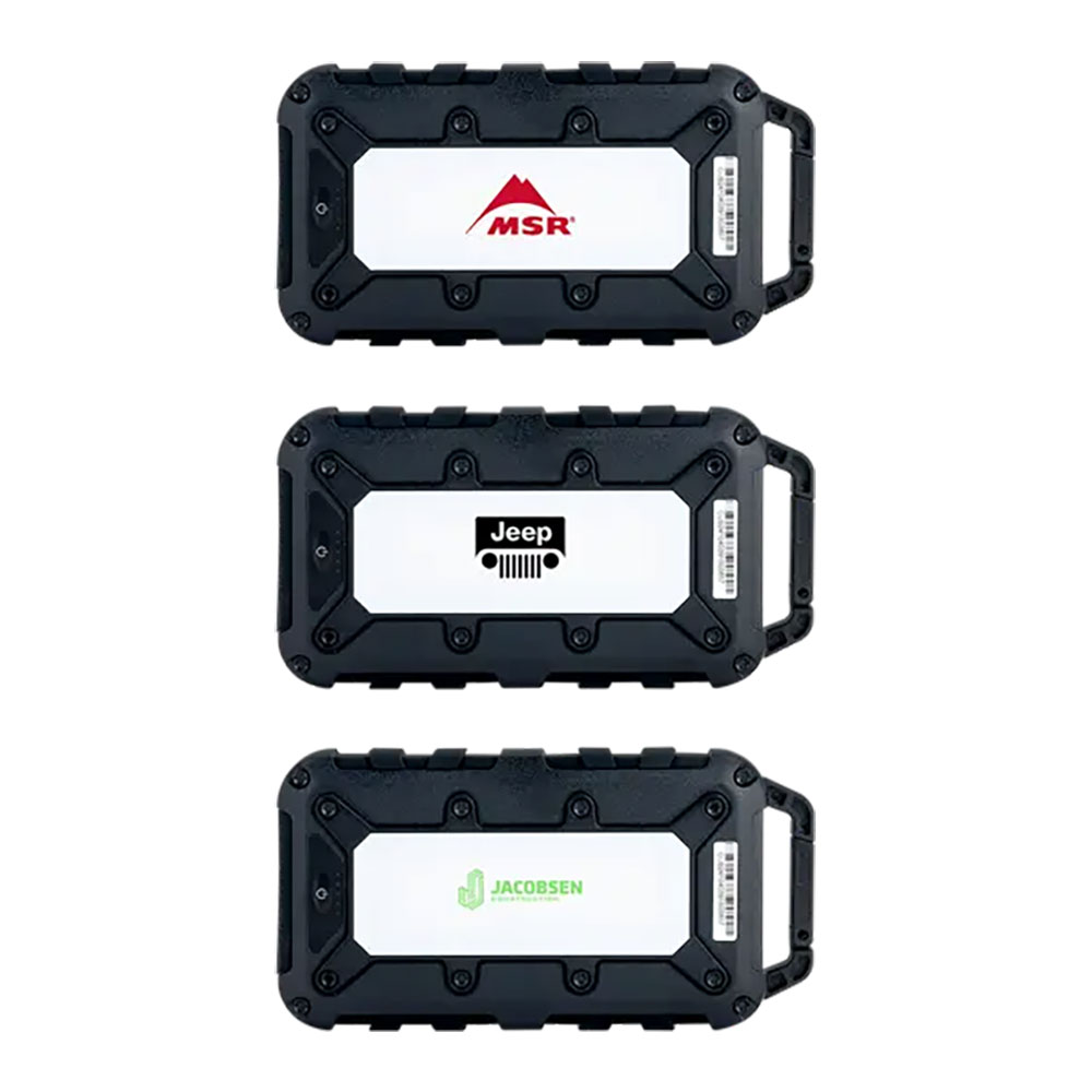 Lion Energy Cub 10000 mAh Powerbank