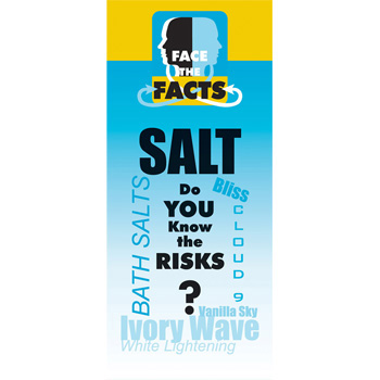 Face the Facts: (25 Pack) Salt Drug Prevention Pamphlet