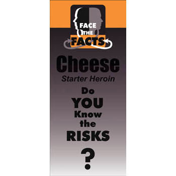 Face the Facts: (25 Pack) Cheese Drug Prevention Pamphlet